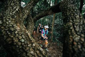 BIB: 
                            <button type="button" onclick="openModal(25392260)" class="btn btn-primary btn-sm float-right btn-popup" data-toggle="modal" data-target=".modal-high-quality">
                        <i class="fas fa-shopping-cart"></i> Add to Cart
                    </button>
                                            <button type="button" onclick="isThisMe(25392260, true)" class="btn btn-success btn-sm float-right btn-popup btn-isme hidden" data-toggle="tooltip" data-placement="bottom" title="นี่คือรูปของคุณใช่ไหม คลิกที่นี่เพื่อเอาเข้าอัลบั้ม">
                        <i class="fas fa-plus"></i> Add to album
                    </button>
                    <button type="button" onclick="isThisMe(25392260, false)" class="btn btn-warning btn-sm float-right btn-popup btn-isnotme hidden">
                        <i class="fas fa-ban"></i> Remove from album
                    </button>